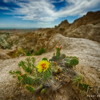 Badlands on the 4th {Rapid City Nature Photography}
